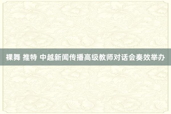 裸舞 推特 中越新闻传播高级教师对话会奏效举办