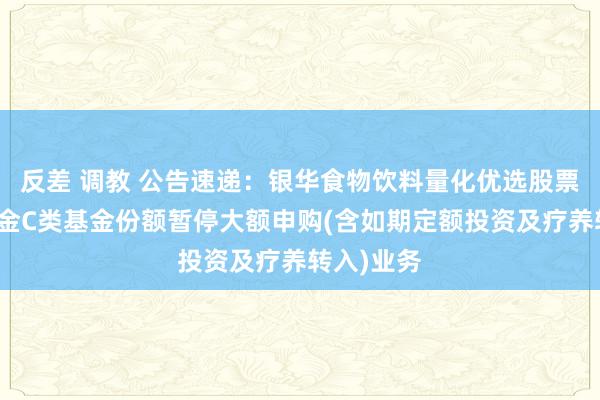反差 调教 公告速递：银华食物饮料量化优选股票发起式基金C类基金份额暂停大额申购(含如期定额投资及疗养转入)业务
