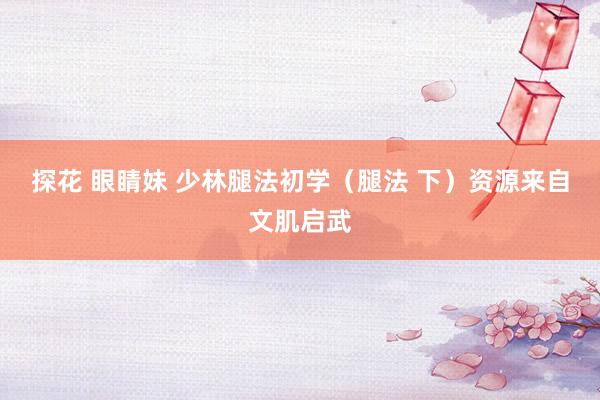 探花 眼睛妹 少林腿法初学（腿法 下）资源来自文肌启武
