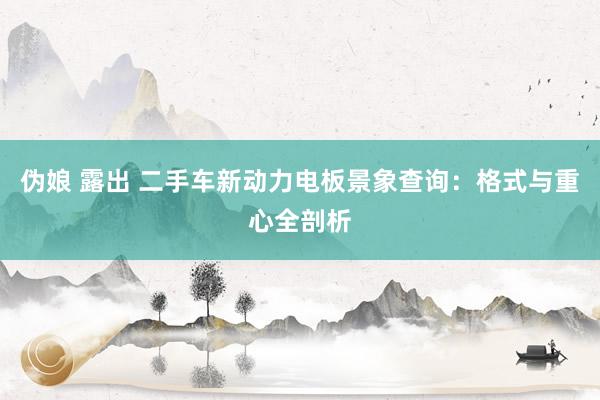 伪娘 露出 二手车新动力电板景象查询：格式与重心全剖析