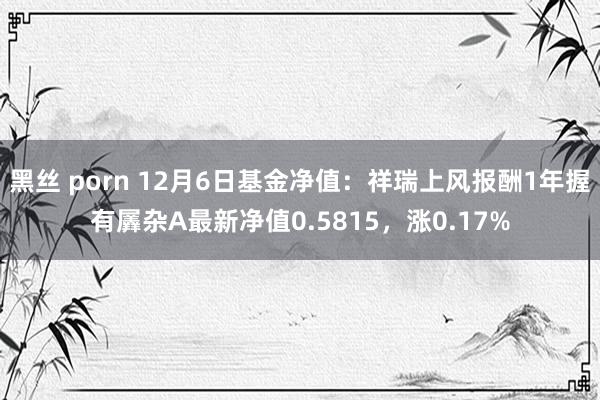 黑丝 porn 12月6日基金净值：祥瑞上风报酬1年握有羼杂A最新净值0.5815，涨0.17%