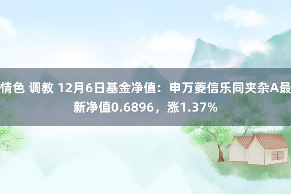 情色 调教 12月6日基金净值：申万菱信乐同夹杂A最新净值0.6896，涨1.37%