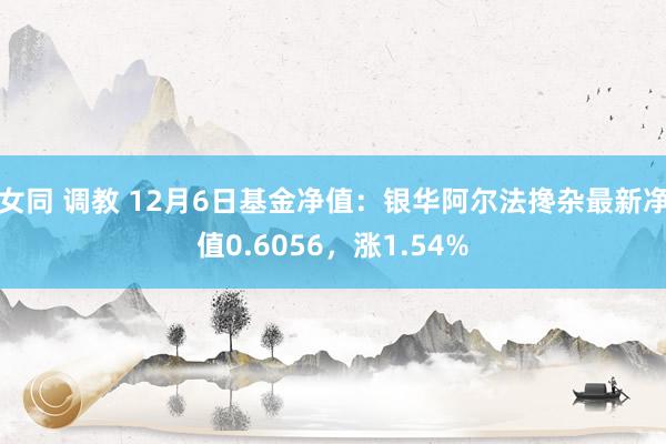 女同 调教 12月6日基金净值：银华阿尔法搀杂最新净值0.6056，涨1.54%