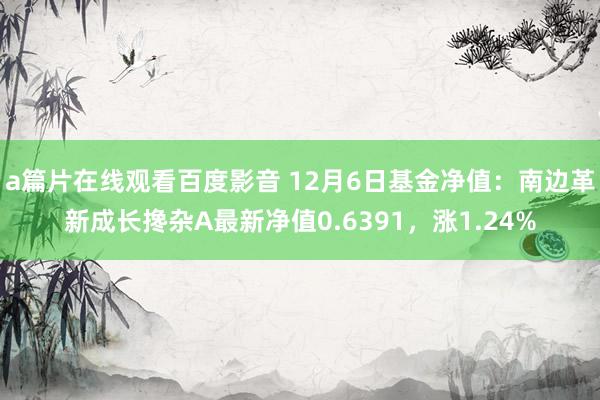 a篇片在线观看百度影音 12月6日基金净值：南边革新成长搀杂A最新净值0.6391，涨1.24%