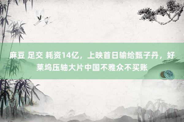 麻豆 足交 耗资14亿，上映首日输给甄子丹，好莱坞压轴大片中国不雅众不买账