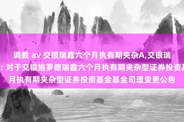 调教 av 交银瑞鑫六个月执有期夹杂A,交银瑞鑫六个月执有期夹杂C: 对于交银施罗德瑞鑫六个月执有期夹杂型证券投资基金基金司理变更公告
