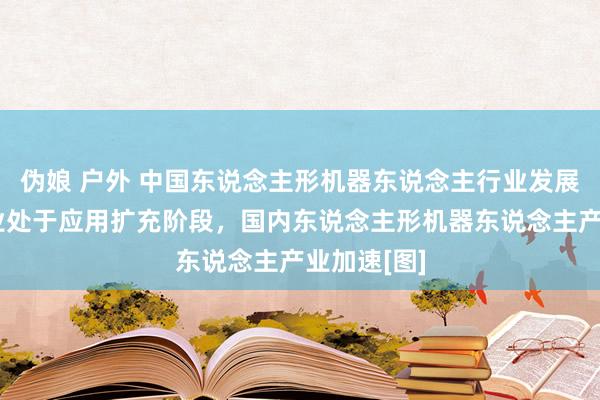 伪娘 户外 中国东说念主形机器东说念主行业发展近况：行业处于应用扩充阶段，国内东说念主形机器东说念主产业加速[图]