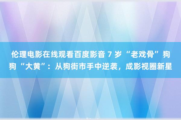 伦理电影在线观看百度影音 7 岁 “老戏骨” 狗狗 “大黄”：从狗街市手中逆袭，成影视圈新星
