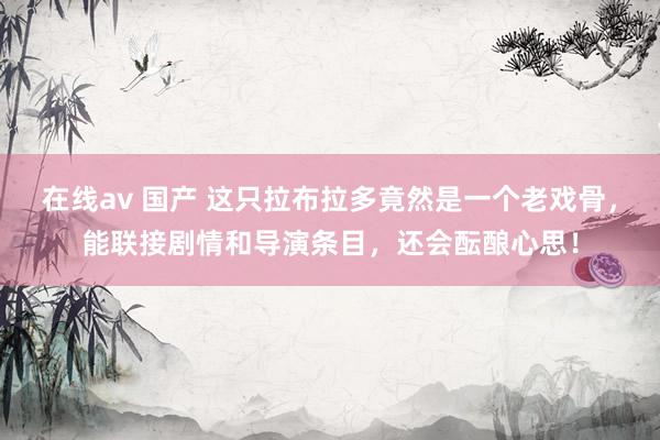 在线av 国产 这只拉布拉多竟然是一个老戏骨，能联接剧情和导演条目，还会酝酿心思！