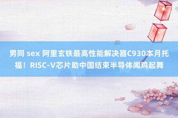 男同 sex 阿里玄铁最高性能解决器C930本月托福！RISC-V芯片助中国结束半导体闻鸡起舞