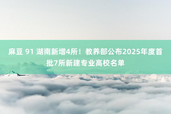 麻豆 91 湖南新增4所！教养部公布2025年度首批7所新建专业高校名单