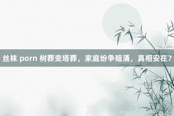 丝袜 porn 树葬变塔葬，家庭纷争暗涌，真相安在？