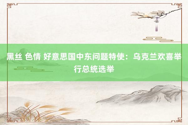 黑丝 色情 好意思国中东问题特使：乌克兰欢喜举行总统选举
