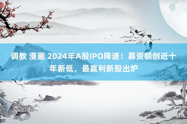 调教 漫画 2024年A股IPO降速！募资额创近十年新低，最赢利新股出炉