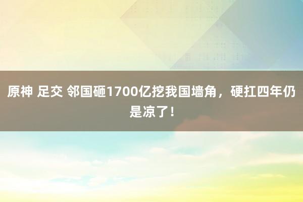原神 足交 邻国砸1700亿挖我国墙角，硬扛四年仍是凉了！