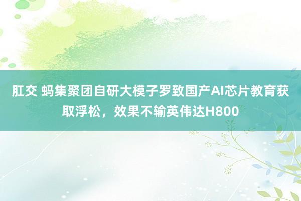 肛交 蚂集聚团自研大模子罗致国产AI芯片教育获取浮松，效果不输英伟达H800