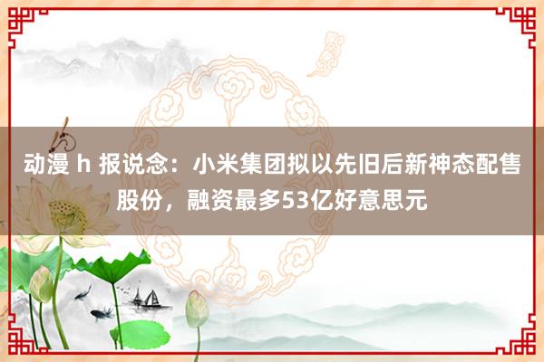 动漫 h 报说念：小米集团拟以先旧后新神态配售股份，融资最多53亿好意思元