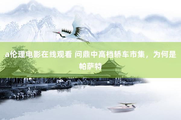 a伦理电影在线观看 问鼎中高档轿车市集，为何是帕萨特