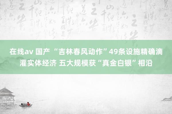 在线av 国产 “吉林春风动作”49条设施精确滴灌实体经济 五大规模获“真金白银”相沿