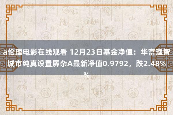 a伦理电影在线观看 12月23日基金净值：华富理智城市纯真设置羼杂A最新净值0.9792，跌2.48%