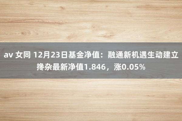 av 女同 12月23日基金净值：融通新机遇生动建立搀杂最新净值1.846，涨0.05%