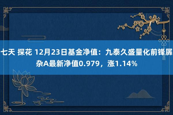 七天 探花 12月23日基金净值：九泰久盛量化前锋羼杂A最新净值0.979，涨1.14%