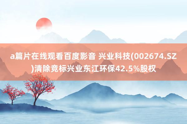 a篇片在线观看百度影音 兴业科技(002674.SZ)清除竞标兴业东江环保42.5%股权
