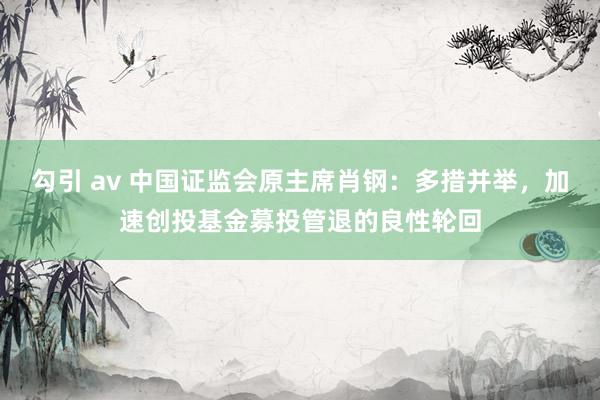 勾引 av 中国证监会原主席肖钢：多措并举，加速创投基金募投管退的良性轮回