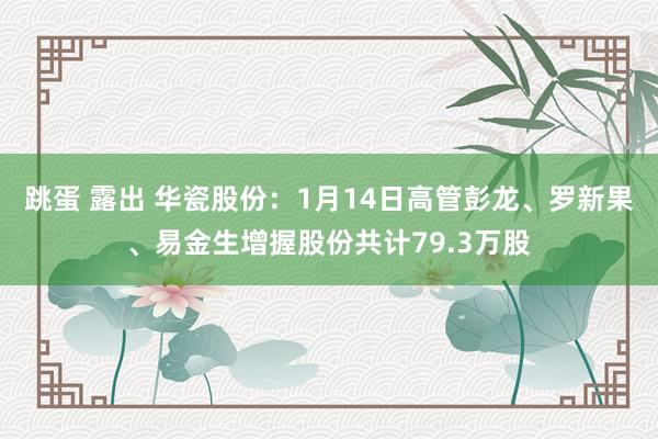 跳蛋 露出 华瓷股份：1月14日高管彭龙、罗新果、易金生增握股份共计79.3万股