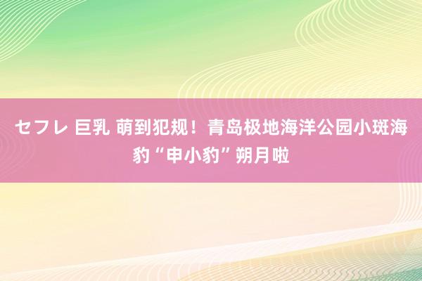 セフレ 巨乳 萌到犯规！青岛极地海洋公园小斑海豹“申小豹”朔月啦