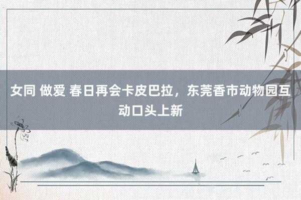 女同 做爱 春日再会卡皮巴拉，东莞香市动物园互动口头上新