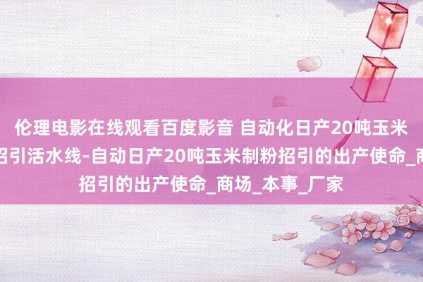 伦理电影在线观看百度影音 自动化日产20吨玉米制粉加工成套招引活水线-自动日产20吨玉米制粉招引的出产使命_商场_本事_厂家