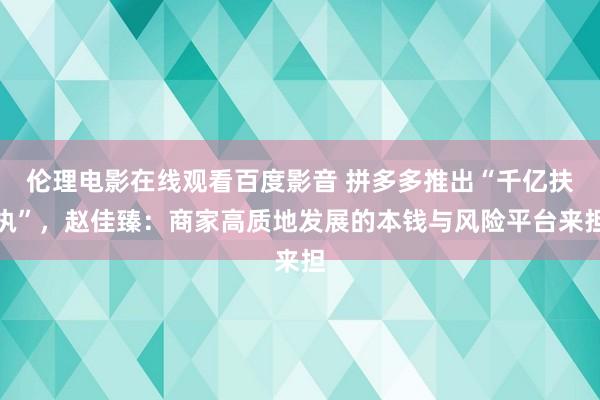 伦理电影在线观看百度影音 拼多多推出“千亿扶执”，赵佳臻：商家高质地发展的本钱与风险平台来担