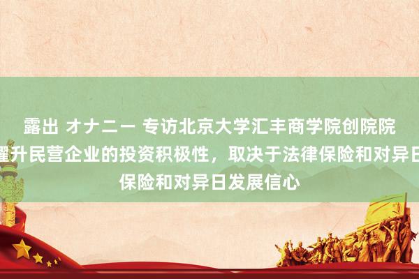 露出 オナニー 专访北京大学汇丰商学院创院院长海闻：擢升民营企业的投资积极性，取决于法律保险和对异日发展信心