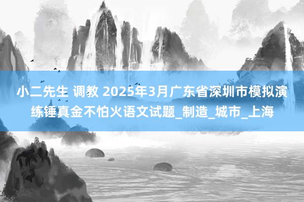 小二先生 调教 2025年3月广东省深圳市模拟演练锤真金不怕火语文试题_制造_城市_上海