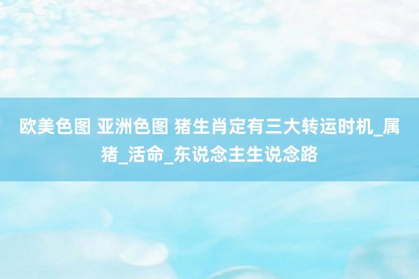 欧美色图 亚洲色图 猪生肖定有三大转运时机_属猪_活命_东说念主生说念路