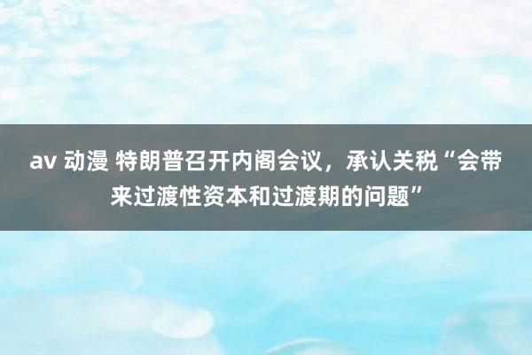av 动漫 特朗普召开内阁会议，承认关税“会带来过渡性资本和过渡期的问题”