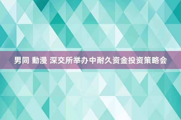 男同 動漫 深交所举办中耐久资金投资策略会