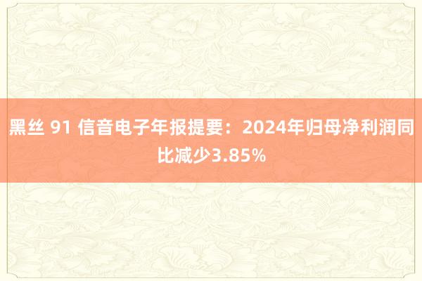 黑丝 91 信音电子年报提要：2024年归母净利润同比减少3.85%