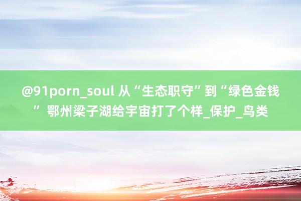 @91porn_soul 从“生态职守”到“绿色金钱” 鄂州梁子湖给宇宙打了个样_保护_鸟类