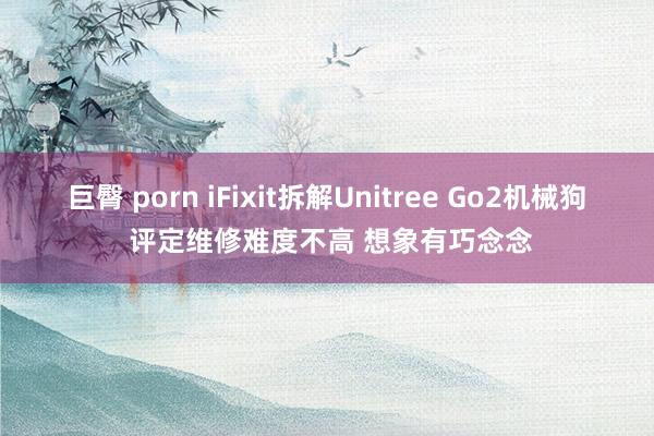 巨臀 porn iFixit拆解Unitree Go2机械狗 评定维修难度不高 想象有巧念念