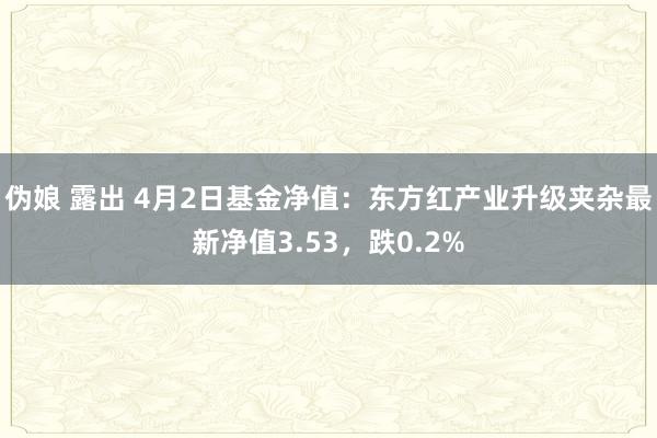 伪娘 露出 4月2日基金净值：东方红产业升级夹杂最新净值3.53，跌0.2%