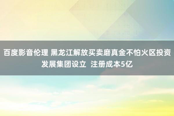百度影音伦理 黑龙江解放买卖磨真金不怕火区投资发展集团设立  注册成本5亿