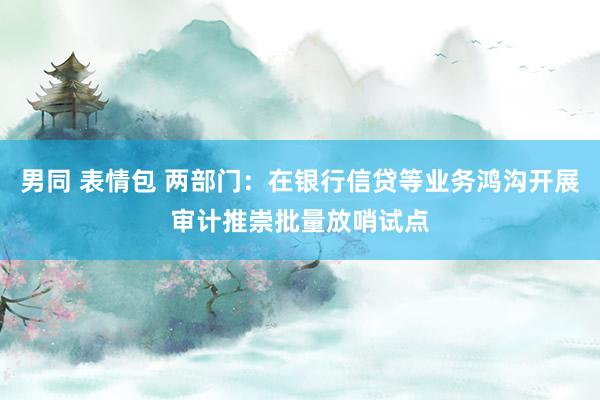 男同 表情包 两部门：在银行信贷等业务鸿沟开展审计推崇批量放哨试点
