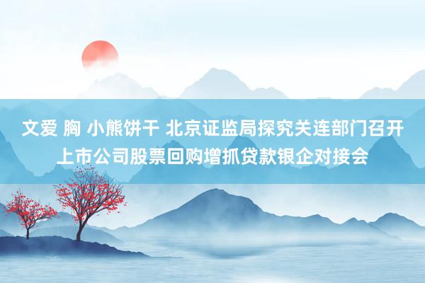 文爱 胸 小熊饼干 北京证监局探究关连部门召开上市公司股票回购增抓贷款银企对接会