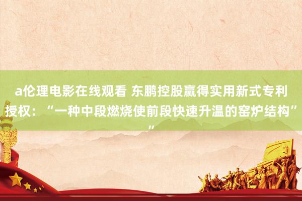 a伦理电影在线观看 东鹏控股赢得实用新式专利授权：“一种中段燃烧使前段快速升温的窑炉结构”