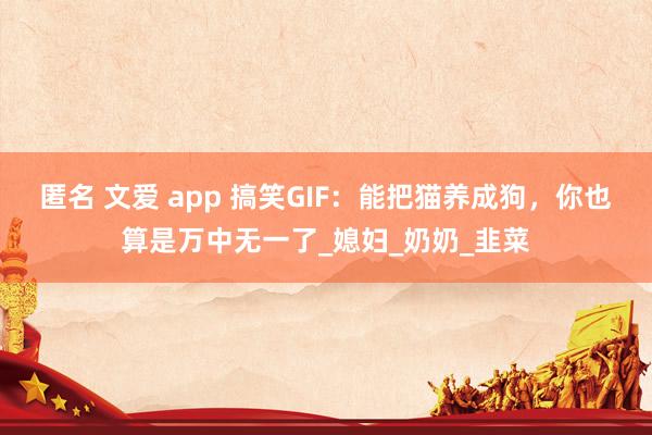匿名 文爱 app 搞笑GIF：能把猫养成狗，你也算是万中无一了_媳妇_奶奶_韭菜