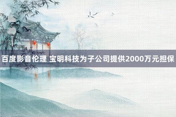 百度影音伦理 宝明科技为子公司提供2000万元担保