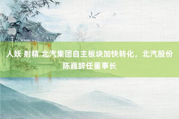 人妖 射精 北汽集团自主板块加快转化，北汽股份陈巍辞任董事长