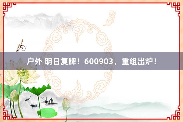 户外 明日复牌！600903，重组出炉！